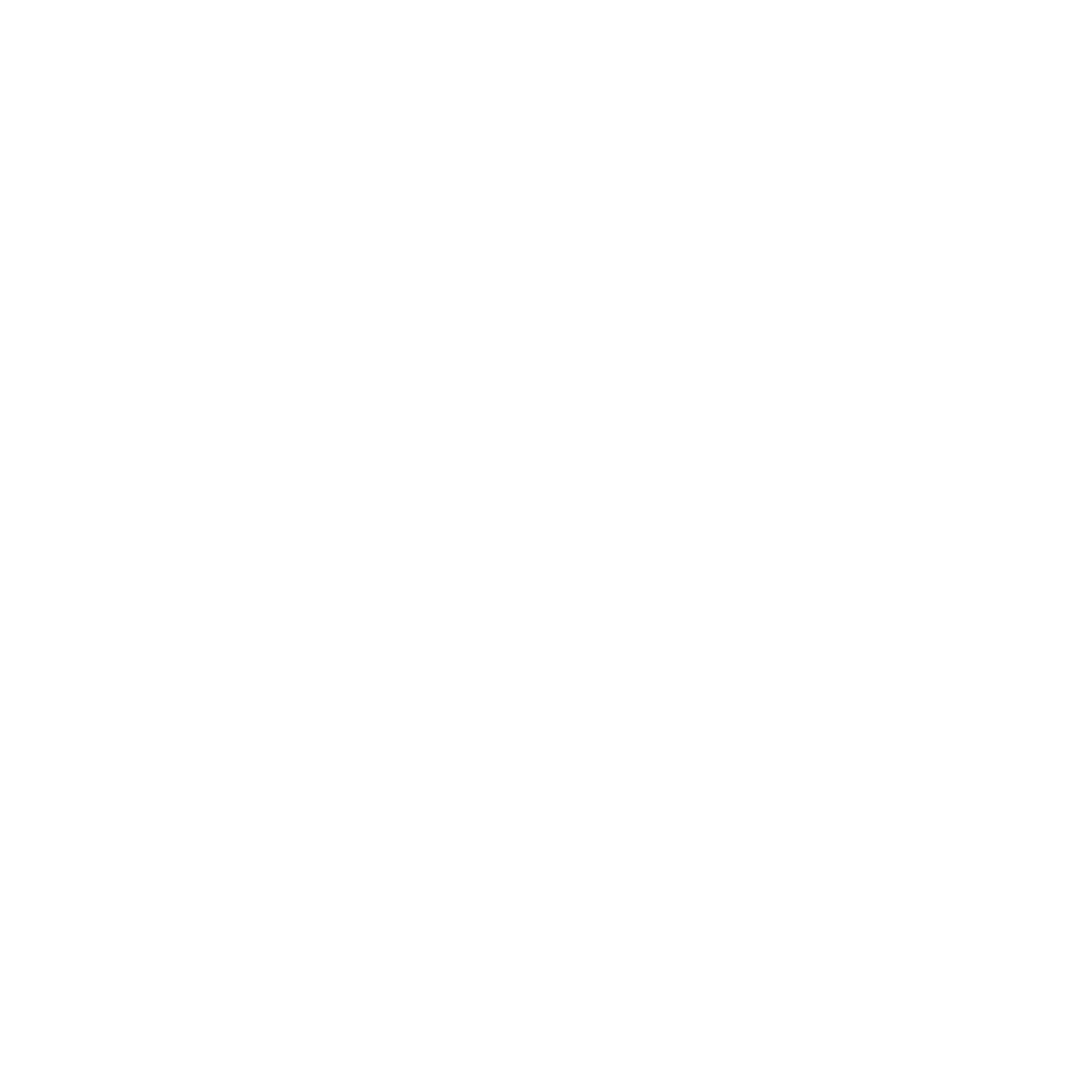 ethan macneil